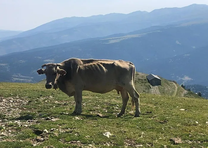 Panoramic Xalet La Molina Con Vistas Excelentes