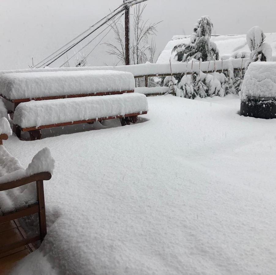 Panoramic Xalet La Molina Con Vistas Excelentes Holiday home